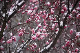 最低-7.3℃！贵阳1月气温创近十年新低图片