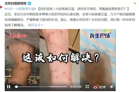 北京居民被跳蚤困扰，21世纪了，咋还会有跳蚤？图片