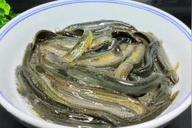 大厨教你做泥鳅好吃的做法，比饭店的还香，鲜嫩入味，太过瘾了图片