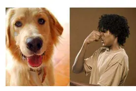 “体臭界”扛把子的5种狗，敢养的是大神图片