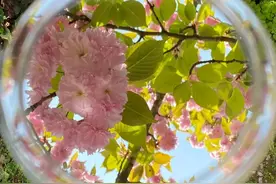 花样催生却不带娃，刚50就让子女养老：人老了，这三个要求别乱提图片