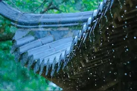 思念如马，自别离，未停蹄图片