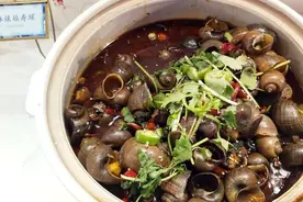福寿螺能不能吃？为什么有那么多吃播在吃福寿螺呢？图片