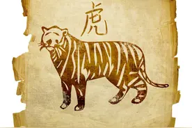 如何打败纸老虎——毛主席的战略和战术图片