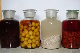 自泡药酒的保质期是多久？存放了10年还能喝吗？建议弄懂不吃亏图片