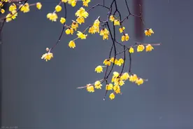 今日大雪丨愿世间温暖与你环环相扣图片