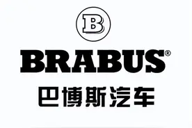 带个“B”字是什么车？（二）巴博斯图片