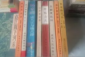 最全杨家将pdf文本图片