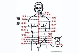 倪海厦《黄帝内经》讲解（二）：女性经期与脾脏、五脏平衡、水图片