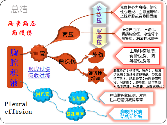 1分钟学会胸腔积液原因，遇到胸腔积液，终于不用害怕