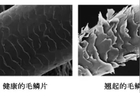 马上吹干VS自然晾干，哪个对头发更「友好」？图片