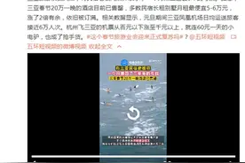 三亚民宿老板回应“一个月赚回三年亏损”：误会了 没这么高图片