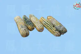 俄乌战争导弹有毒残留物渗入土壤！其实，我们身边土壤中一种“致癌细菌”更可怕！图片
