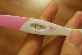 两条杠！代表怀孕吗？图片