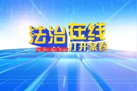 打开案卷 | 泰国来的鹦鹉蛋图片