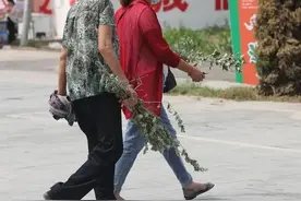 端午节插艾，记得：2不采，3不插，4禁忌，端午安康别犯忌讳图片