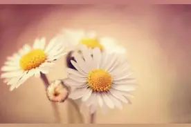 当你被人瞧不起的时候，正确的还击方式，多半是以下三种图片