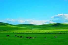 第一次去内蒙古行程路线怎么安排，请收下这份超详细攻略干货图片