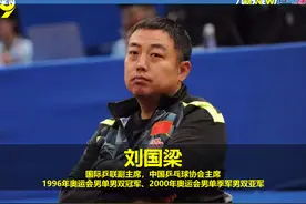 国乒12名退役球员职位：刘国梁最高，刘诗雯前途好，马琳任主教练图片
