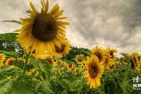 这10条电影台词，句句经典，让人念念不忘图片