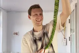 网红“克里斯”被曝入赘中国！挪威父母已来到，因苍蝇多被嘲讽图片