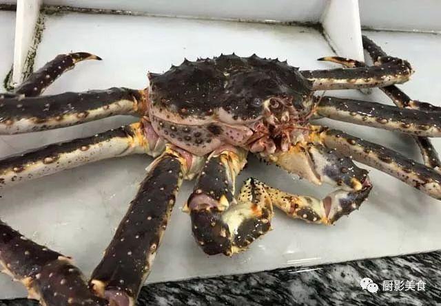 什么海鲜胶原蛋白最多 2025年海鲜含有胶原蛋白吗