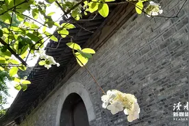 成年人最大的清醒：放过自己图片