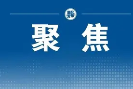湖北3个“大科学装置”项目成功纳入国家“十四五”规划 数量居全国前列图片