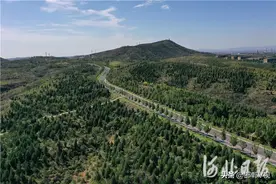 六大造林工程建设“绿美邯郸”图片