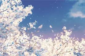 收藏起来！有腔调的至美好句，写进文章绝了图片