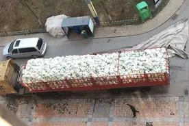 西安兴隆街道兴隆社区领到爱心蔬菜啦图片