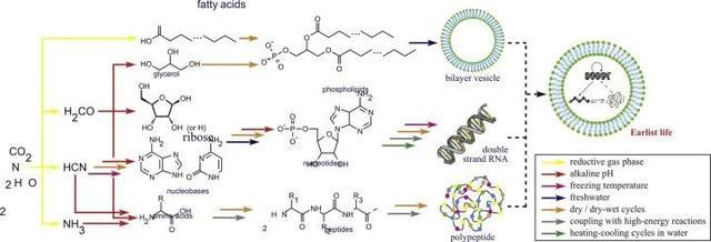 地球外首次确认氨基酸存在，地外生命说是真的吗？