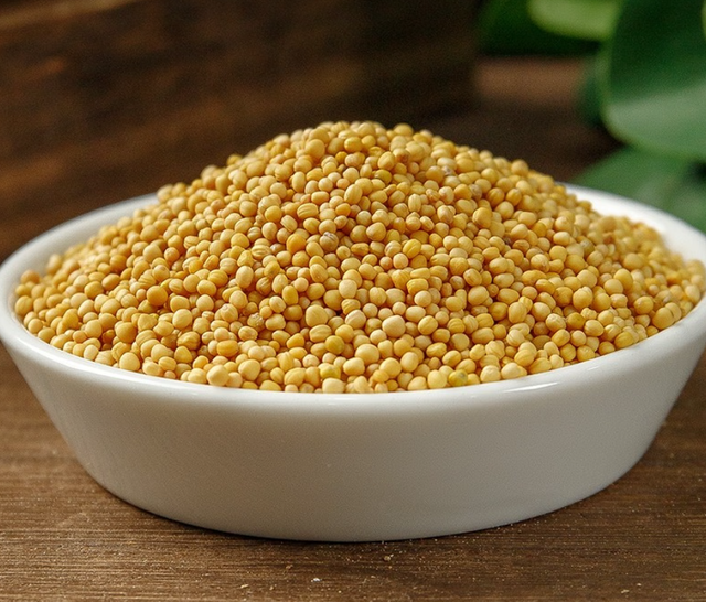 东北家常植物大全(家常植物名称大全图片)-措必培