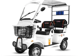 不要驾照！这2款电动四轮车，有遮雨棚，防溜坡，适合老年人使用图片