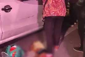 大风说法 | 宠物狗未拴绳被车轧死，狗主人拦车索赔掌掴司机？律师：双方责任划分要视具体情节图片