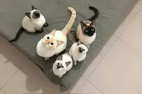 动漫世界里的物语图片