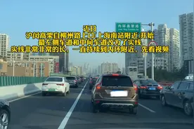 上海沪闵高架再调整图片