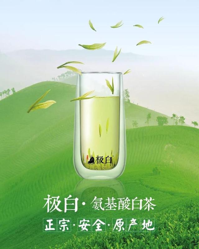 极白·安吉白茶，中国养生白茶领导品牌，只做氨基酸含量高的茶