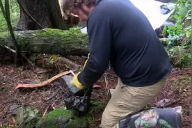 荒野独居第一季为什么一直被雪藏，今天我们来解开谜团图片