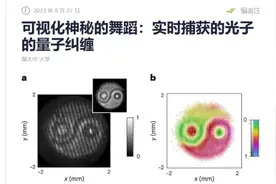 这也太吓人了！科学家拍量子纠缠，竟拍到阴阳太极图？图片