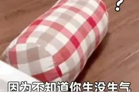 表情包 | 后背有点刺挠图片