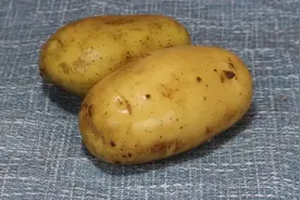 土豆从小吃到大，这做法头一次见，高手在民间，一口一个真过瘾图片