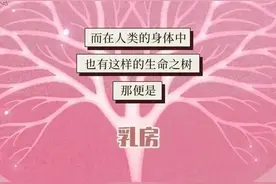 揭秘乳房发育全过程：从小到大，从兴到衰 （漫画）图片