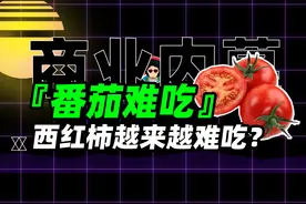 为什么西红柿越来越难吃了？图片