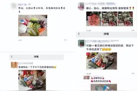 石家庄惊现“别人家的物业”！面对疫情，他们又给业主送蔬菜了图片