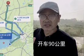 两只鸽子的定位环图片