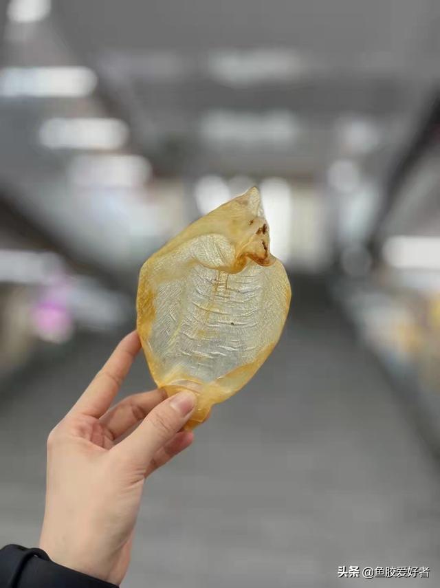什么口感的花胶比较好 什么口感的花胶比较好一点