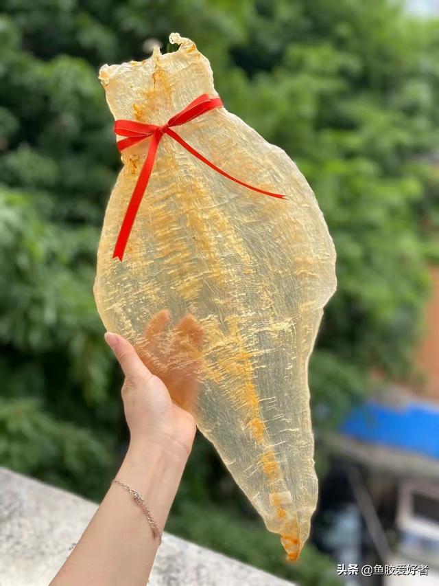 吃鱼胶好还是燕窝好 吃鱼胶好还是燕窝好呢