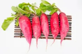 编制考试，当我抢占了别人的萝卜坑，遭到不公待遇图片