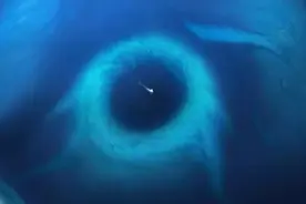 持续百万年，每年吞噬30亿吨海水，马里亚纳海沟吞噬的海水去哪了图片